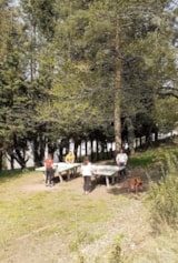 Foto #21 van Camping DOMAINE DE KERELLY