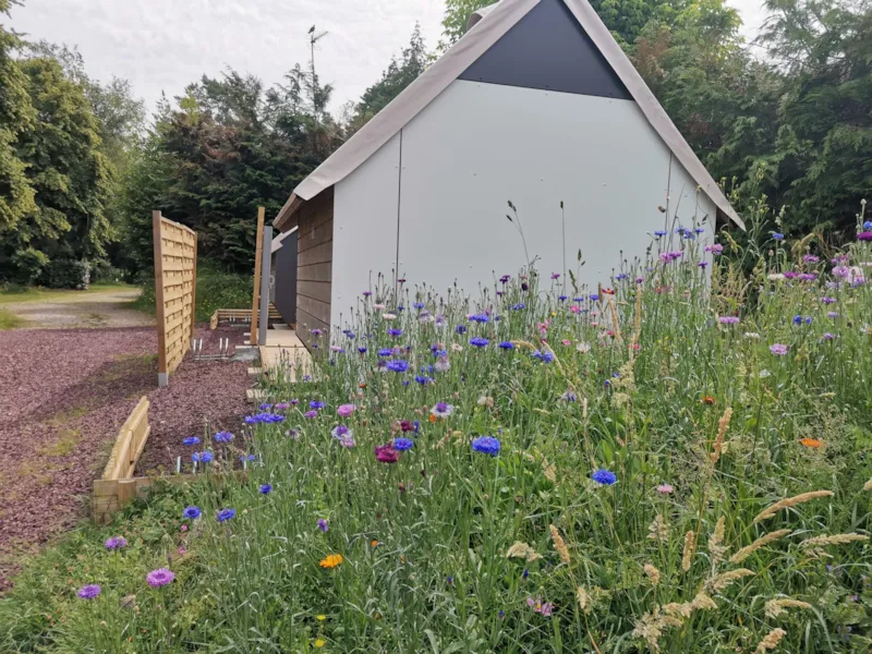 Cop'coon. 4 M2. Tarif À Partir De ...