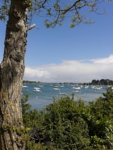 Foto #74 van Camping LES MOUETTES