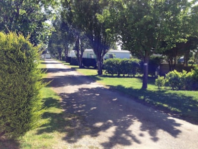 Pitch + 1 car + 1 tent, Caravan or  camping-car — 1