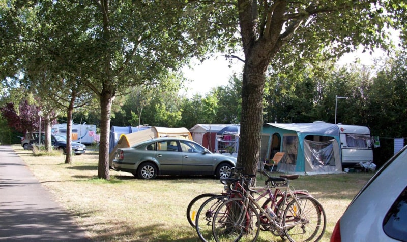 Stellplatz : Auto + Zelt/Wohnwagen oder Wohnmobil