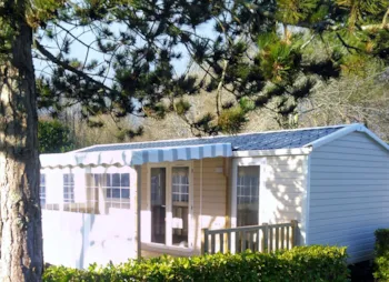 Mietunterkunft - Mobilheim Grand Confort Famille 2 Zimmer 2 Badezimmer - Camping LA GRANDE LANDE