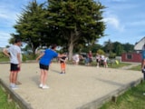 Foto #21 van Flower Camping La Grande Lande