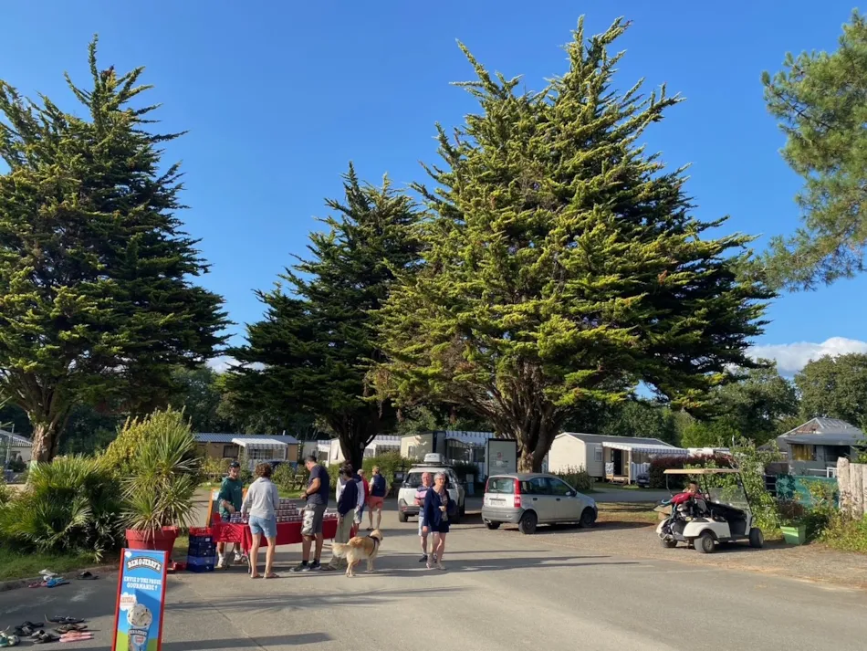 Camping LA GRANDE LANDE