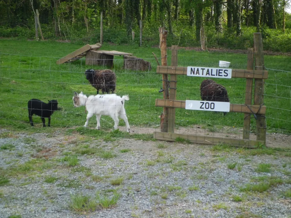 Camping des Cerisiers