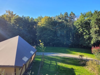 Jungle Lodge tent (without private bathroom) — 2