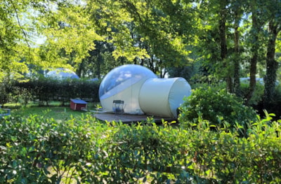 Bubble Room - without toilet blocks — 1