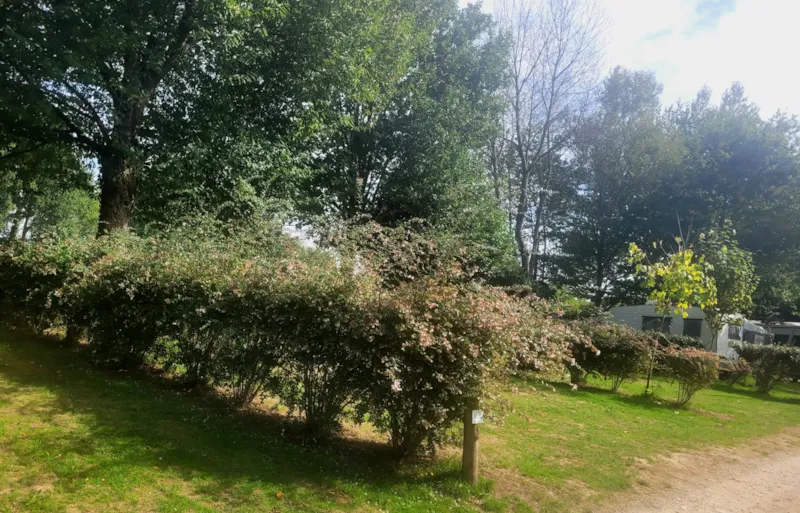 Emplacement Véhicule Ou Caravane Ou Camping-Car