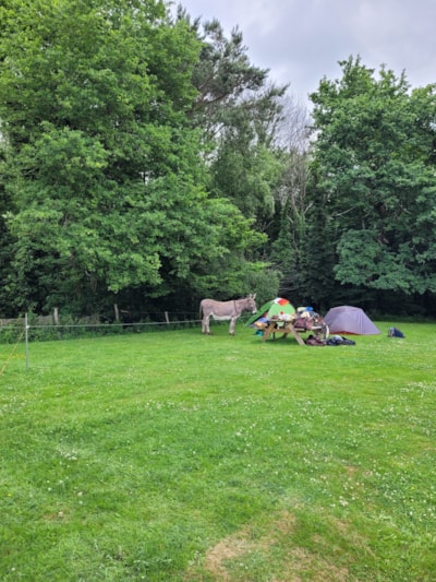 Pitch Tent without vehicle — 3