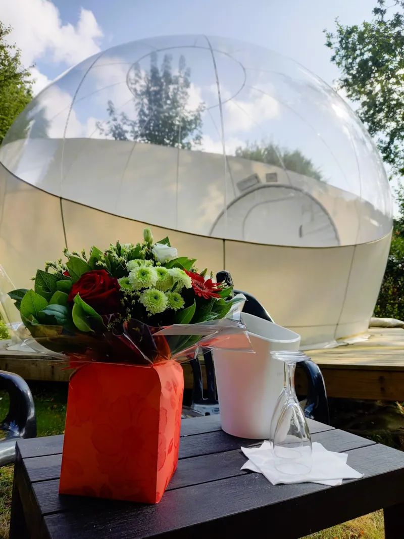 Bubble Room - Sans Sanitaires Privés