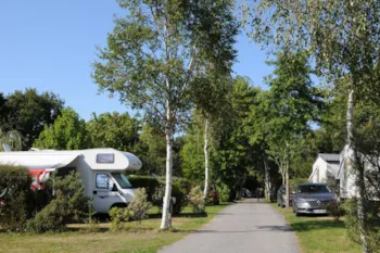 Stellplatz - Stellplatz Nature (Zelt, Wohnwagen, Wohnmobil / 1 Auto / 2 Pers. / Ohne Strom) - Flower Camping La Blanche Hermine