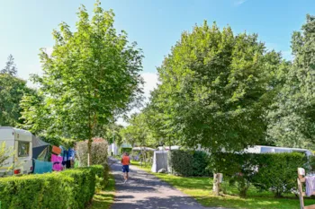 Stellplatz - Stellplatz Confort (Zelt, Wohnwagen, Wohnmobil / 1 Auto  / 2 Pers. / Mit Strom) - Flower Camping La Blanche Hermine