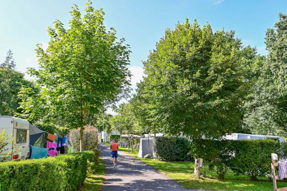 Flower Camping La Blanche Hermine