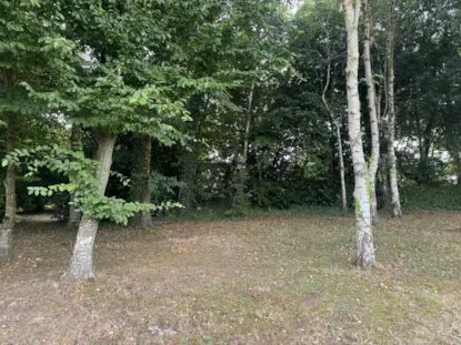 Chant Marin Pitch, For Tents Only