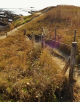 Foto #51 van Camping LA PLAGE