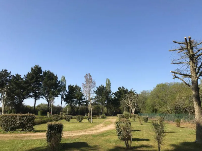 Forfait : Emplacement + 1 Voiture + Électricité 10A