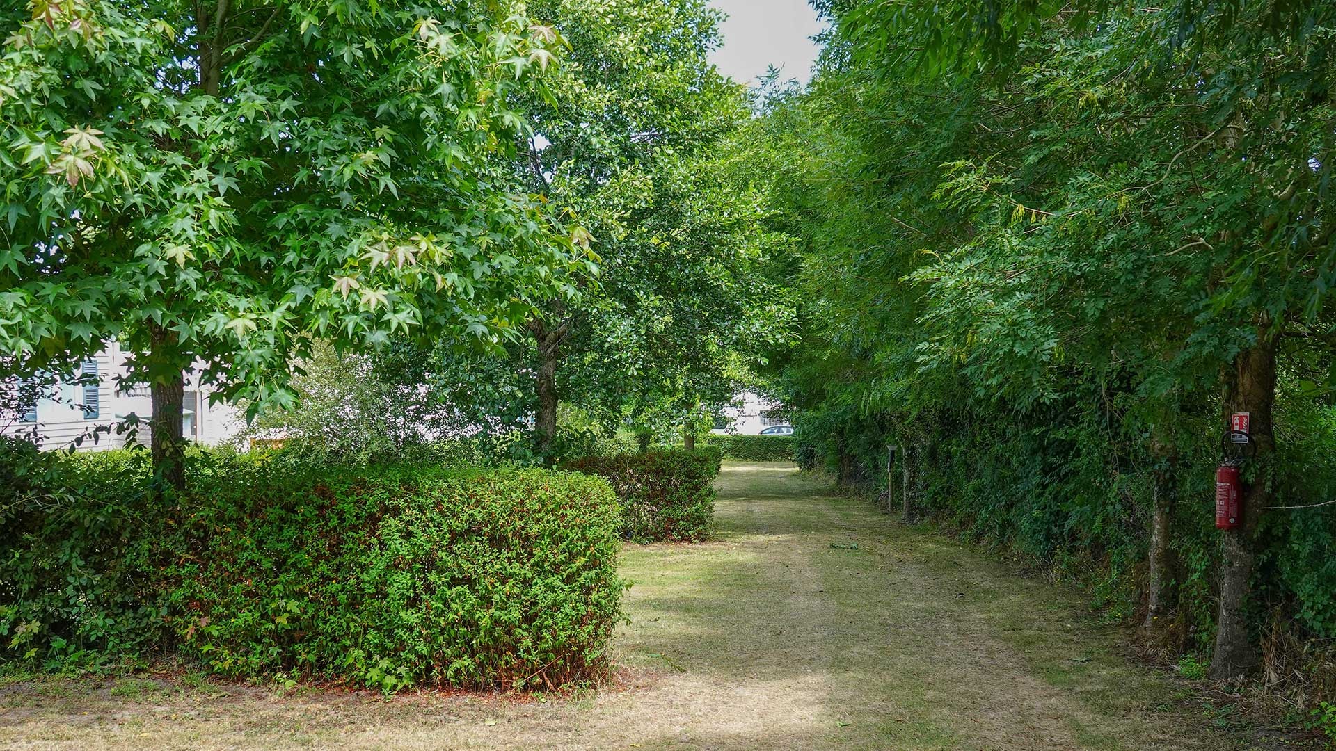 Camping Le Dolmen — Foto 8