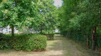 Emplacement - Forfait : Emplacement + 1 Voiture + Électricité 10A - Camping Le Dolmen