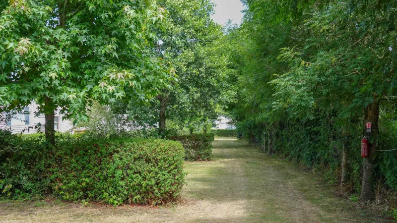 Forfait : Emplacement + 1 Voiture + Électricité 10A