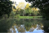 Foto #2 van Camping Vert Bord’Eau