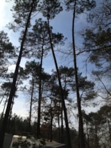 Foto #5 van Camping Vert Bord’Eau