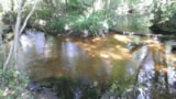 Foto #11 van Camping Vert Bord’Eau