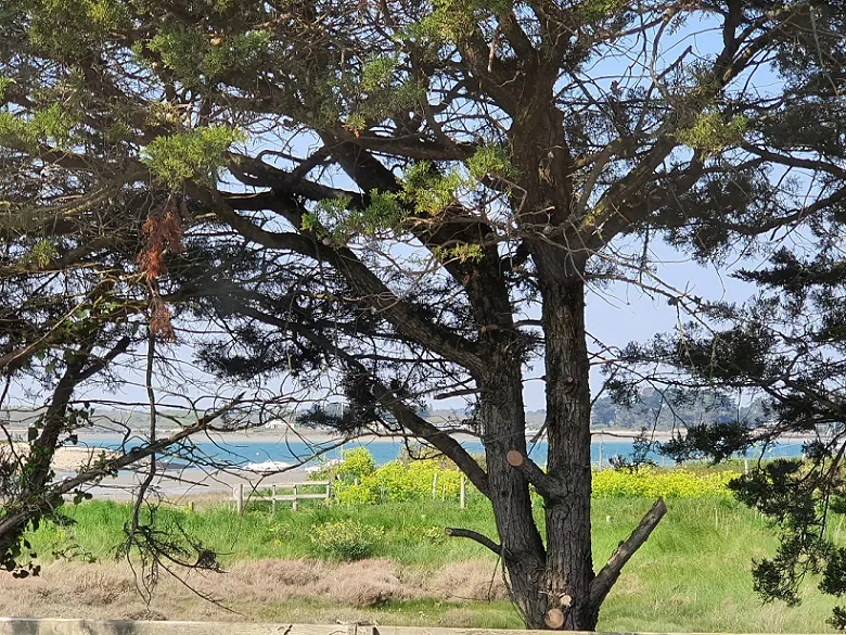 Camping PRESQU'ILE DE PENERF