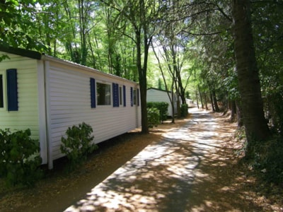 Mobilhome — 3