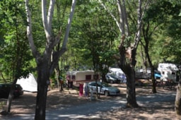 Stellplatz - Pauschale Stellplatz + 1 Auto - Camping Les Gorges de l'Hérault