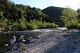 Foto #31 van Camping Les Gorges de l’Hérault