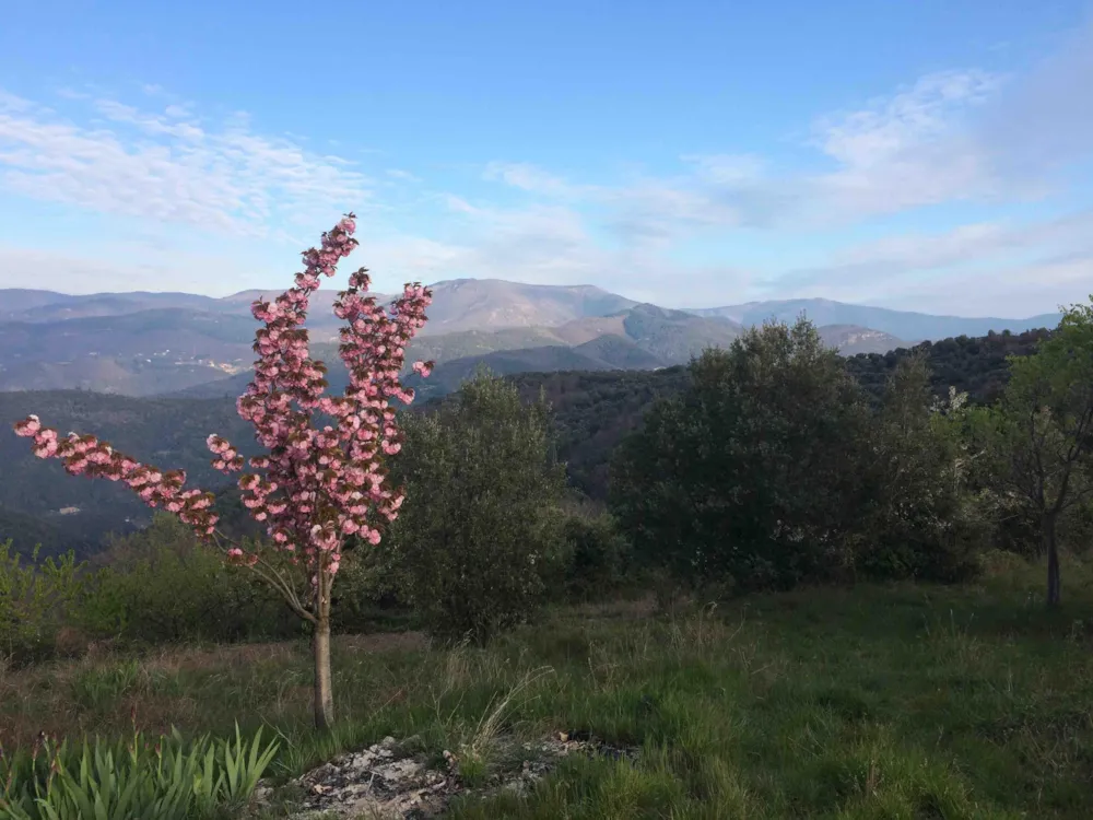 Camping Les Gorges de l'Hérault