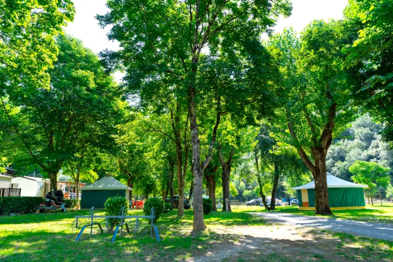 Forfait Emplacement + 1 Véhicule