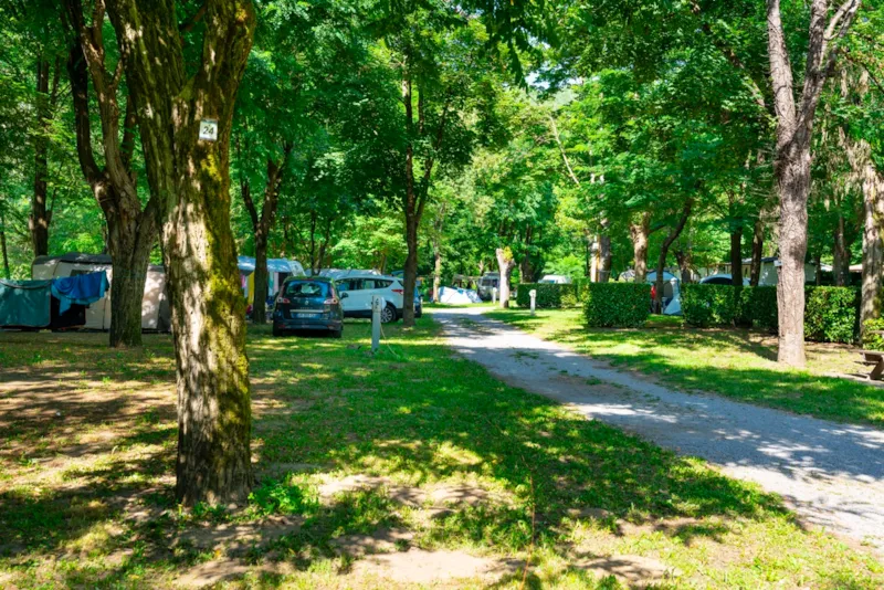 Forfait Emplacement + 1 Véhicule