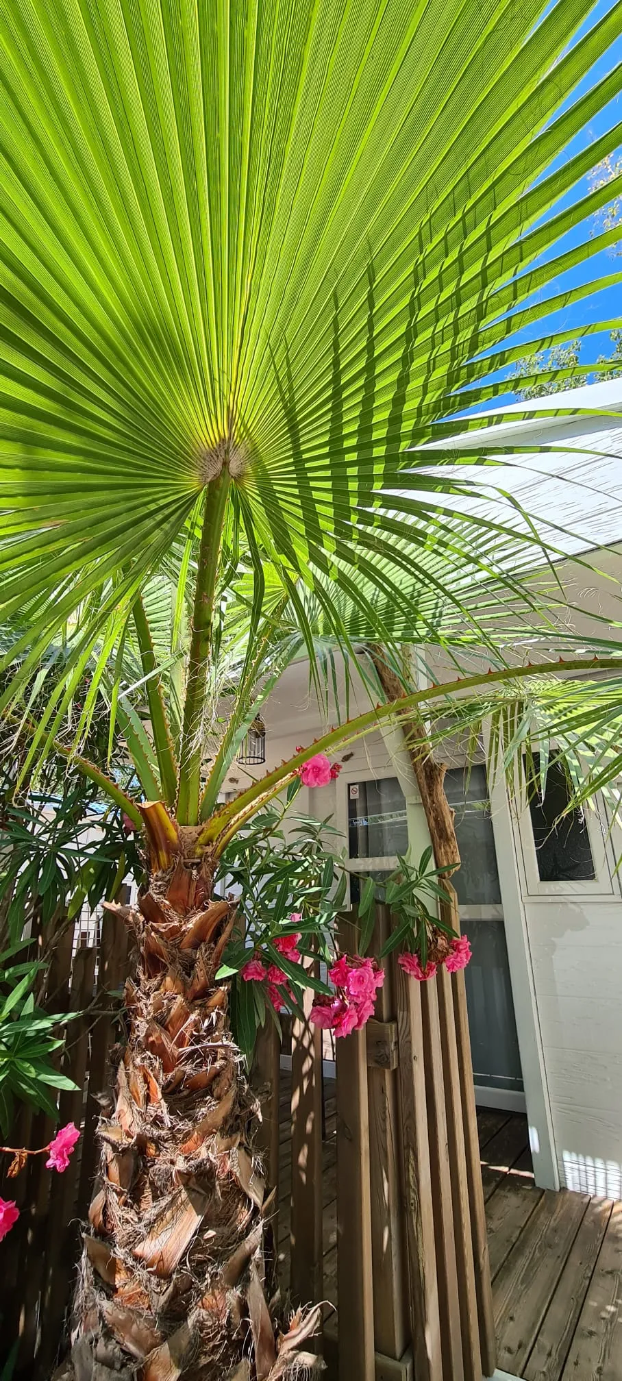 Camping Le Mas de la Plage