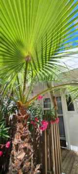 Foto #7 van Camping Le Mas de la Plage