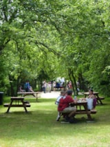 Foto #5 van Camping LE NID VERT