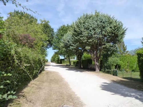 Foto #1 van Camping LE NID VERT