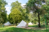 Foto #9 van Camping L’Escale de Loire