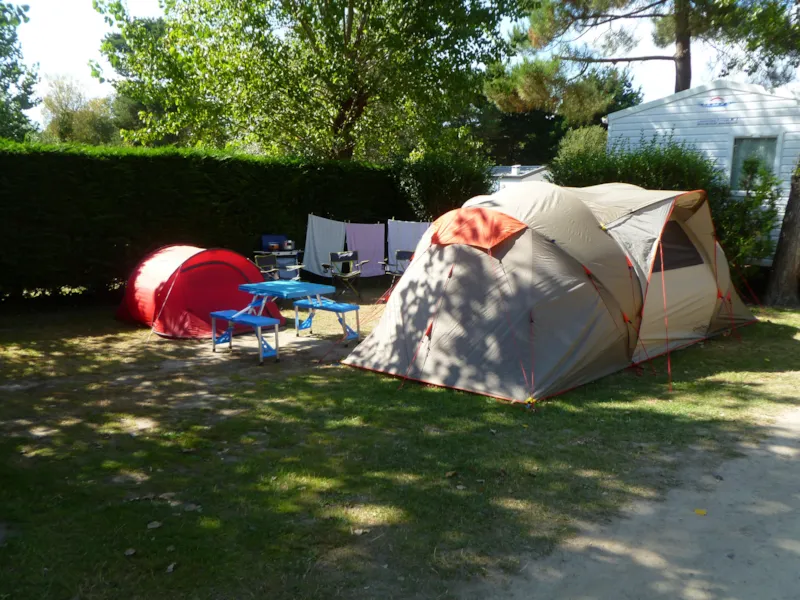 Emplacement 1 Véhicule + Électricité