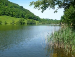 Village Vacances du Lac de Menet - image n°10 - Roulottes