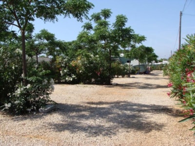 Pitch 70-80m² with hedge, trees, water and electricity — 3