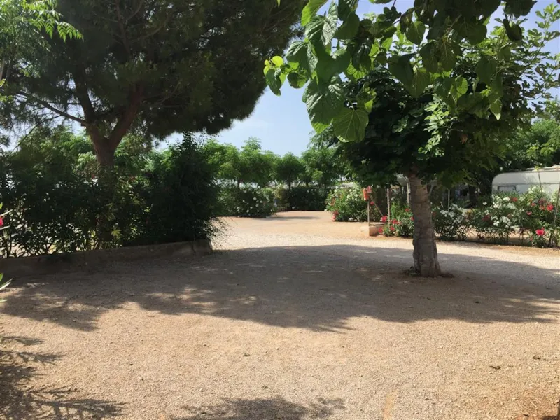 Emplacement Standard Voiture + Tente/Caravane Ou Camping-Car Avec Eau