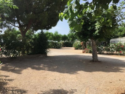 Pitch 70-80m² with hedge, trees, water and electricity — 4