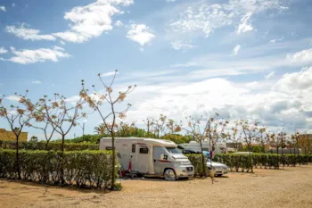 Emplacement - Emplacement Deluxe (1 Tente, Caravane Ou Camping-Car / 1 Voiture / Électricité 6A) + Raccordement Eau Et Évacuation Des Eaux Usées - Camping Alegría del Mar