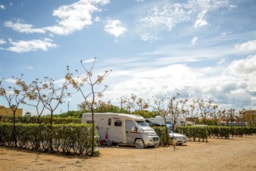 Pitch - Pitch 120M² With Hedge, Trees, Connection To Water, Drainage And Electricity - Camping Alegría del Mar