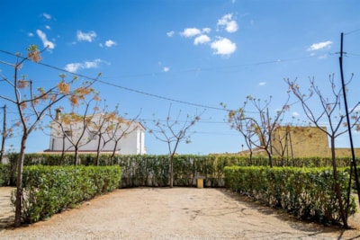 Pitch 120m² with hedge, trees, connection to water, drainage and electricity — 2