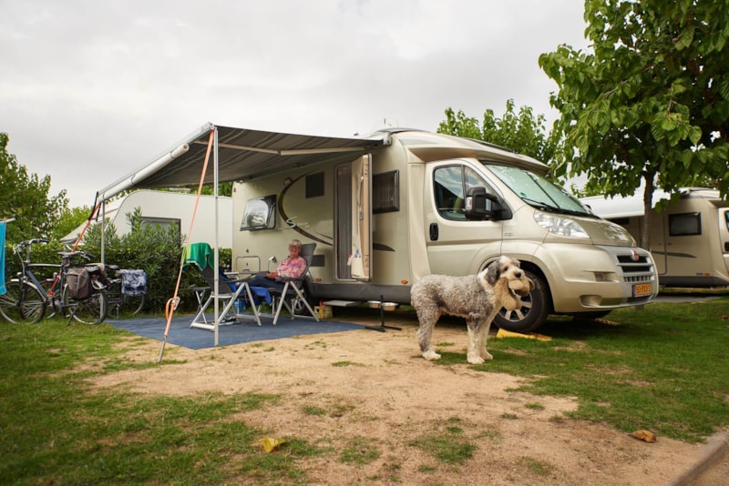Kampeerplaats Confort: auto + tent of caravan of kampeerauto + elektriciteit +water