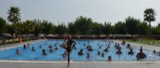 Foto #32 van Camping Resort Els Pins
