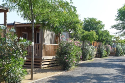 Mobile home Plus 2 AC — 9