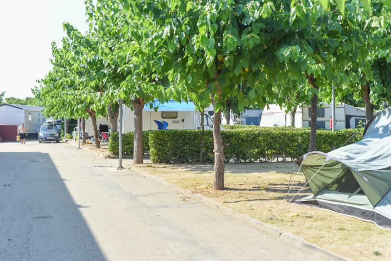 Emplacement Confort: Voiture + Tente Ou Caravane Ou Camping-Car + Électricité +Eau